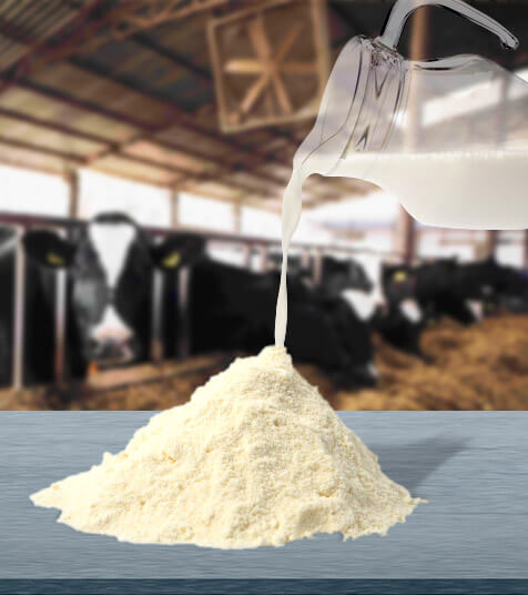 Lácteos deshidratados de Tecnoalimentos para la producción de alimento para mascota, ganadería, porcicultura y acuacultura